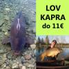 Ste kapr�r? Toto V�m nem��e ch�ba� a nestoj� to viac ako 11�