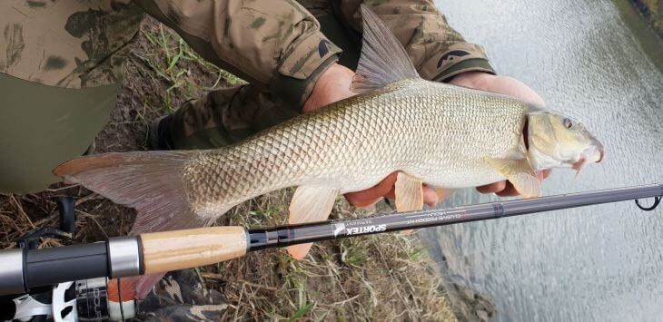 jaro ha��o s testovan�m sportex pr�tom