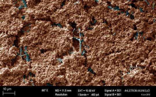 Vrchn� �as� filtra na konci servisn�ho cyklu