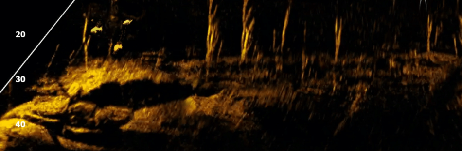 snímanie naživo Active Target™