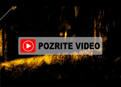 snímanie naživo Active Target™