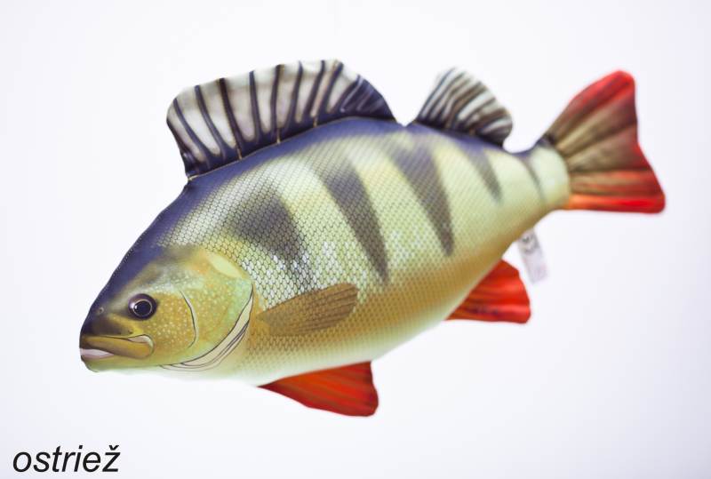 Antibakteriálny vankúš v tvare Ostriež