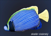 Antibakteri�lny vank�� v tvare Skal�r