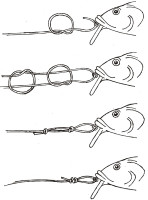  Woblery hornet s� doslova univerz�l na letargick� alebo menej akt�vne ryby ktor� s� st�le samozrejme v strehu aj pri sieste na dne  v prek�kach