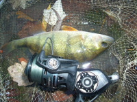 Pr�vla�ov� navijak Quantum Smoke 25 Spin