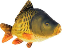 Antibakteri�lny vank�� v tvare KAPOR �upin��