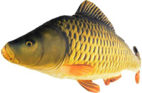 Antibakteri�lny vank�� v tvare KAPOR �upin��