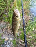 Pr�vla�ov� pr�ty SPORTEX NOVA Ultra Light