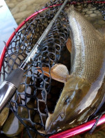 Pr�vla�ov� pr�ty Sportex Graphenon Spin Ultra Light