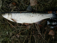 Pr�vla�ov� pr�ty SPORTEX Black Arrow G2 Ultra Light