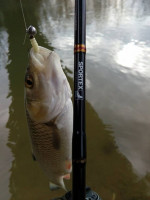 Pr�vla�ov� pr�ty SPORTEX Black Arrow G2 Ultra Light