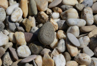 Z�a� s obratl�kom v tvare kame�a