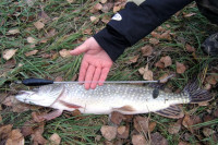 Uk�zanie ako chyta� na r�znych hran�ch alebo dn�ch s podvodn�m plav�kom