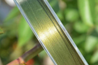 Ryb�rska �n�ra 135m - Laser Braid- olivovo zelen�